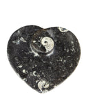 Ammonite Fossil Dish (Heart)