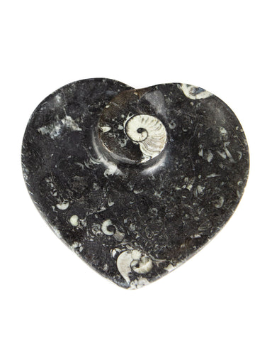 Ammonite Fossil Dish (Heart)