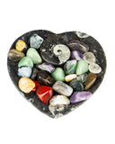 Ammonite Fossil Dish (Heart)