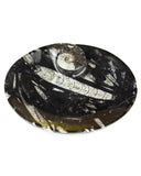 Ammonite Fossil Dish (Oval)
