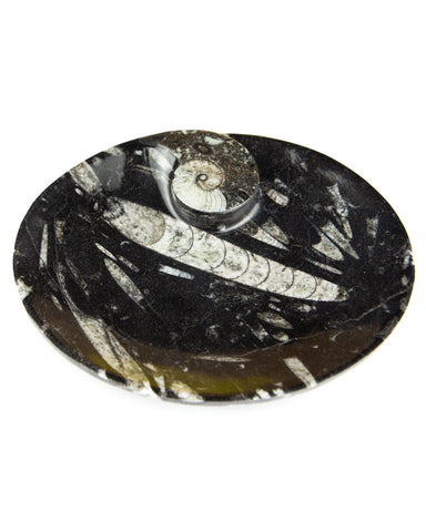 Ammonite Fossil Dish (Oval)