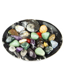 Ammonite Fossil Dish (Oval)
