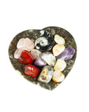 Ammonite Fossil Dish (Small)