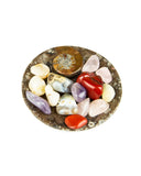 Ammonite Fossil Dish (Small)