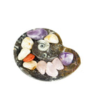 Ammonite Fossil Dish (Small)