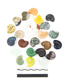 Assorted Ammonite Carving