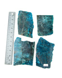 Apatite Slices - 4 pcs (#226674)