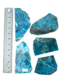 Apatite Slices - 5 pcs (#226675)