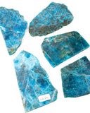 Apatite Slices - 5 pcs (#226675)
