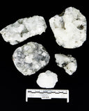 Apophyllite Specimens - 5 pcs (#225630)