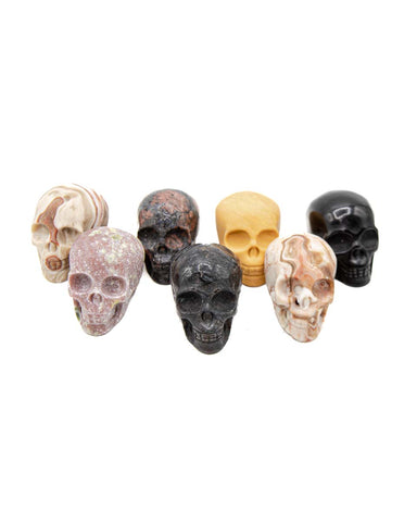 Assorted Skulls (3 inch)