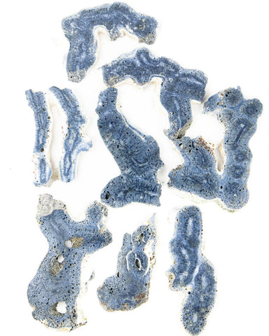 Blue Coral Jasper Slabs (1 lb lot)