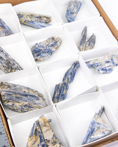 Blue Kyanite Blades  - 12 pcs (#225789)