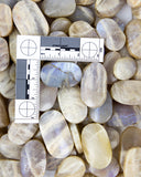 Blue Moonstone Palm Stones