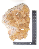 Dogtooth Calcite Specimen - 18.98 lb (#224567)