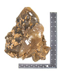 Dogtooth Calcite Specimen - 11.6 lb (#224573)