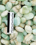 Caribbean Calcite Palm Stones (1 lb lot)