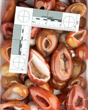 Carnelian Agate Druzy Eggs (1 lb lot)