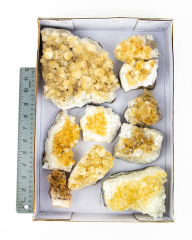 Citrine Druzy Specimens - 10 pcs / 12.8 lb (#255725)