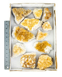 Citrine Druzy Specimens - 11 pcs / 10.9 lb (#255726)