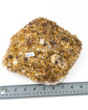 Citrine Druzy with Rutile - 8.13 lb (#225751)