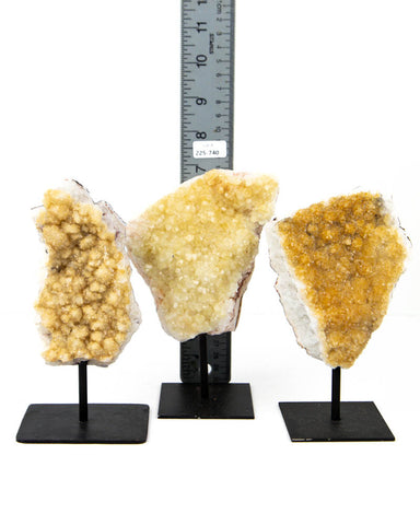 Citrine Druzy on Stands - 3 pcs / 4.71 lb (#255740)