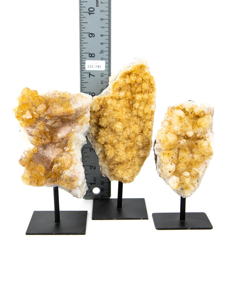 Citrine Druzy on Stands - 3 pcs / 4.83 lb (#255741)