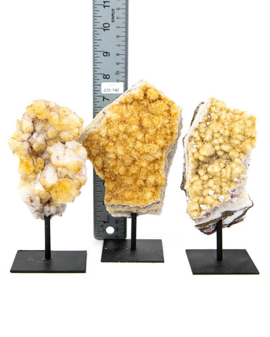 Citrine Druzy on Stands - 3 pcs / 5.79 lb (#255742)