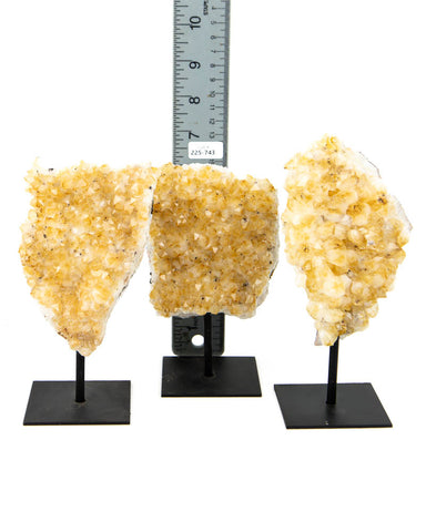 Citrine Druzy on Stands - 3 pcs / 4.69 lb (#255743)