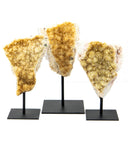 Citrine Druzy on Stands - 3 pcs (#226329)