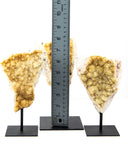 Citrine Druzy on Stands - 3 pcs (#226329)