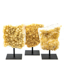 Citrine Druzy on Stands - 3 pcs (#226330)