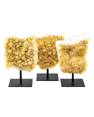 Citrine Druzy on Stands - 3 pcs (#226330)