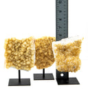 Citrine Druzy on Stands - 3 pcs (#226330)