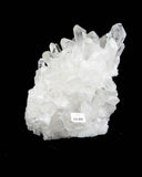 Clear Quartz Cluster - 4.71 lb (#226809)