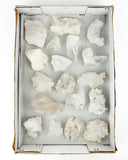 Clear Quartz Clusters Flat - 18 pcs (#255859)