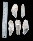 Clear Quartz Points - 5 pcs (#226608)