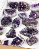 Dark Amethyst Druzy - 16 pcs / 7.31 lb (#225553)