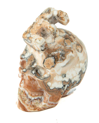 Alpha Skull "E" - Calcite - 2.36 lb (#225481)