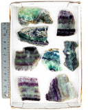 Rainbow Fluorite Slabs - 8 pcs (#226095)