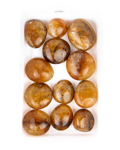 Golden Healer Palm Stones - 12 pcs (#225895)