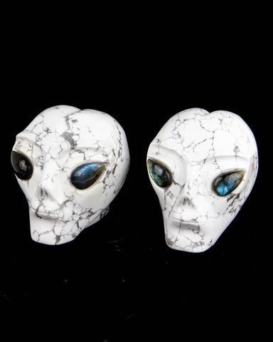 Howlite Alien Skulls w/ Labradorite Eyes - 2 pcs (#225451)