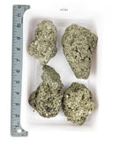 Rough Pyrite Specimens - 4 pcs (#225661)