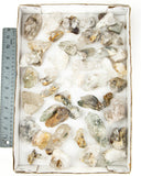 Inclusion Quartz Clusters - 44 pcs (#226688)