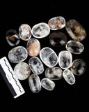 Inclusion Quartz Palm Stones - 18 pcs (#255813)