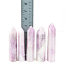 Kunzite Polished Points - 5 pcs (#226639)