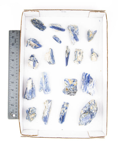 Blue Kyanite Specimens - 19 pcs (#226303)
