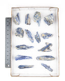 Blue Kyanite Specimens - 14 pcs (#226304)