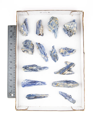 Blue Kyanite Specimens - 14 pcs (#226304)