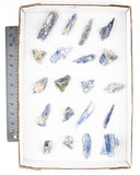 Blue Kyanite Specimens - 20 pcs (#226305)